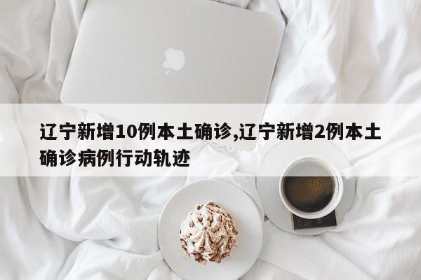 辽宁新增10例本土确诊,辽宁新增2例本土确诊病例行动轨迹