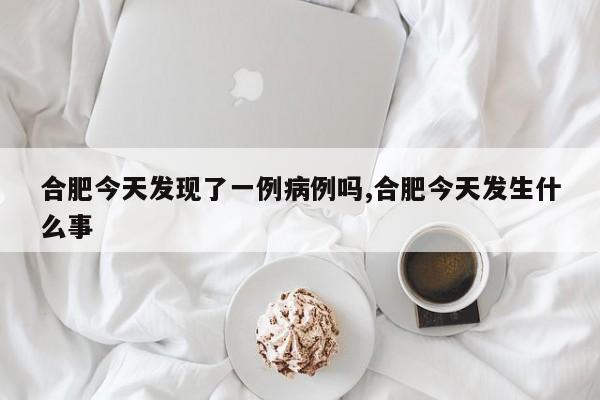 合肥今天发现了一例病例吗,合肥今天发生什么事