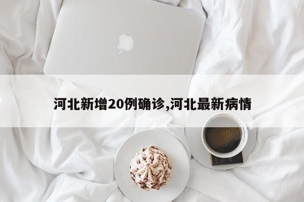 河北新增20例确诊,河北最新病情
